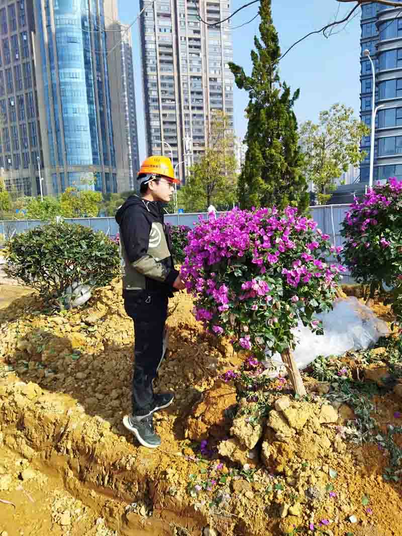 1641440334961674.jpg 9999.jpg