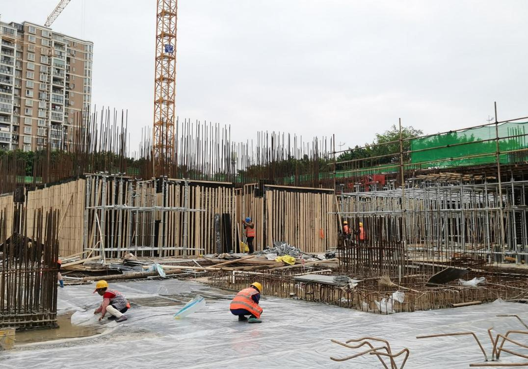 1648690528712175.jpg 圖片2.jpg